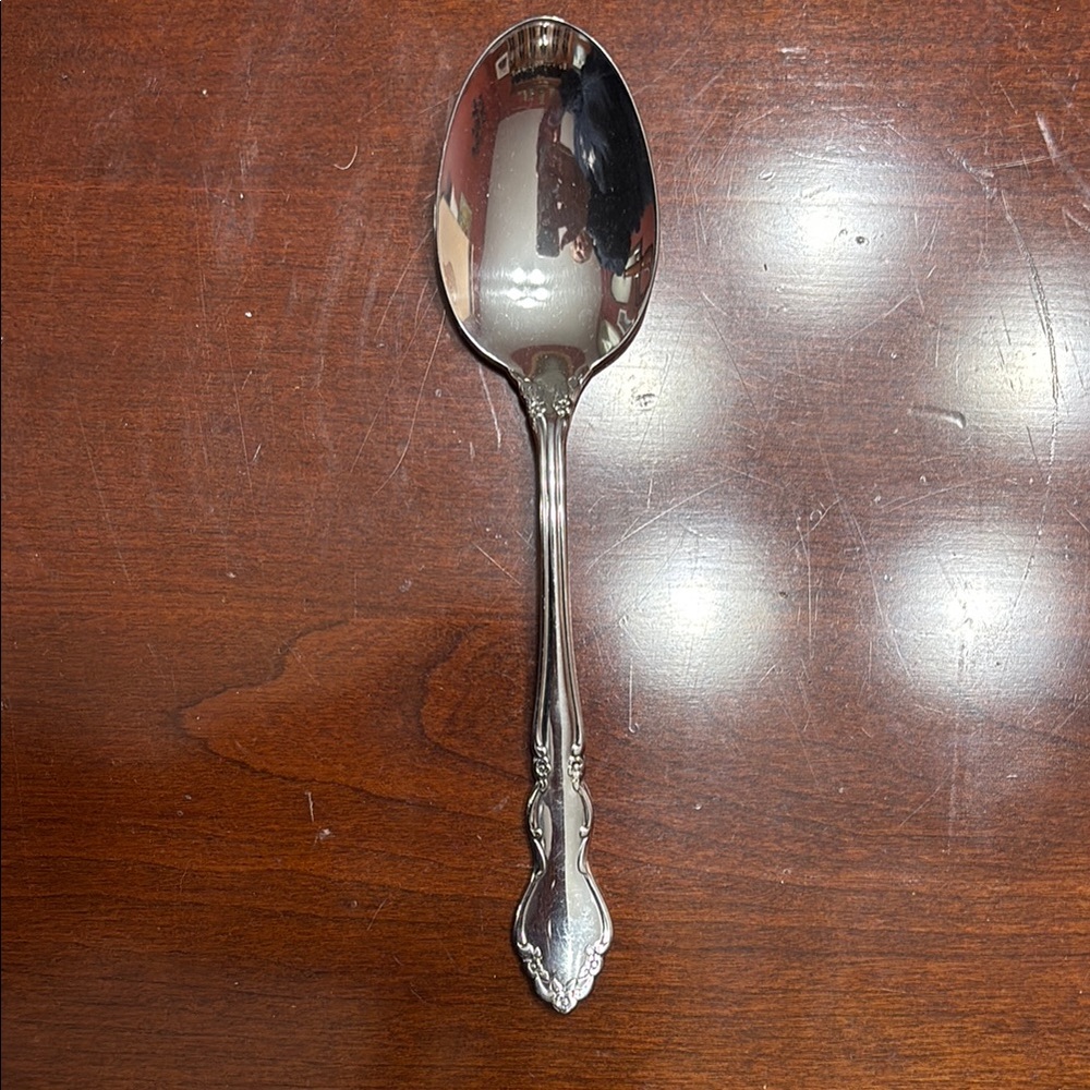 Oneida Dover Stainless Spoon